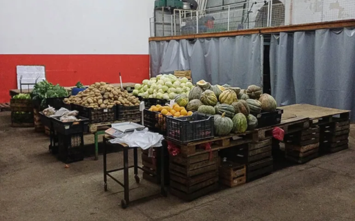 Detectaron frutas y verduras no declaradas en comercio de La Loma