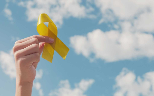 Seminario Interdisciplinario sobre Suicidio y su Prevención