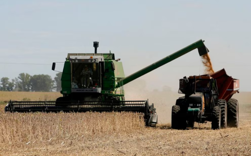 Para aumentar la oferta de dólares, no habrá retenciones a los granos hasta el 31 de octubre