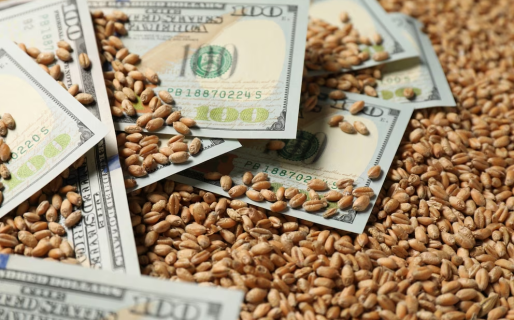 Retenciones 0% al campo: cómo funcionará la eliminación temporal de los derechos de exportación para granos y carnes