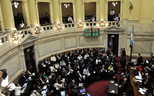 Senado: se define la sesión de mañana, con la insistencia de la emergencia en discapacidad como cuestión central