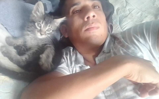 Ofreció una puerta a cambio de comida para sus gatos y recibió mucha ayuda: «Todavía queda gente buena»