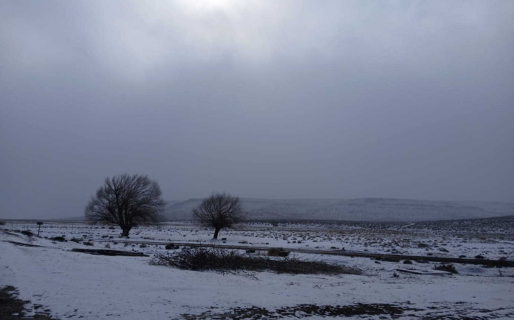 Imágenes que dejó la nieve en la meseta de Chubut