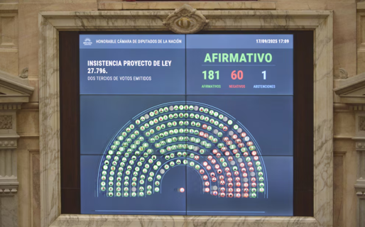 Contundente rechazo a los vetos de Milei: Diputados ratificó el financiamiento del Garrahan y las universidades