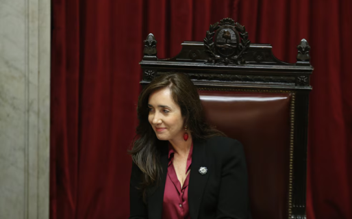 Senado: se confirmó la sesión del jueves para rechazar los vetos sobre emergencia pediátrica y universidades