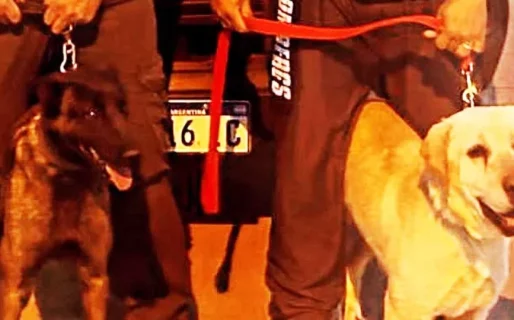 Roco y Kali, los perros rescatistas se suman a la búsqueda de la pareja desaparecida