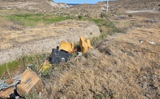 “Una vergüenza”: la Vecinal de Palazzo denunció la acumulación de basura en el barrio