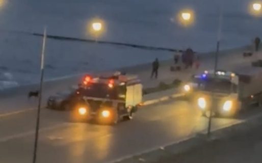 Colsani: “Todo el personal está entrenado para rescatar mascotas que quedan atrapadas por la marea alta”