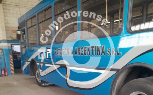 Patagonia Argentina renovará sus colectivos y estrenará diseño