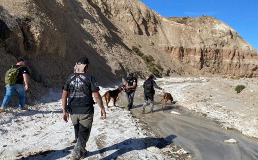 El Gobierno del Chubut amplía la búsqueda de la pareja desaparecida con drones y perros especializados