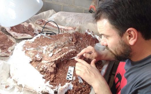 Científicos del CONICET hallan uno de los dinosaurios más antiguos del mundo en La Rioja