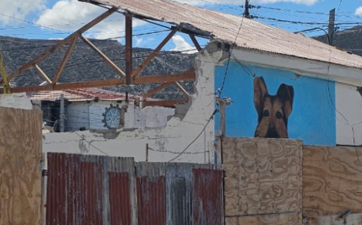 “Barby aún nos ve”: vecinos piden que no borren el mural de la perra comunitaria