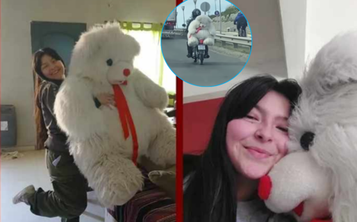 Del video viral a la sorpresa: el peluche gigante de la Ruta 3 llegó a su destino