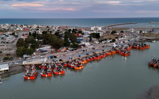 Empezará con normalidad la temporada de pesca