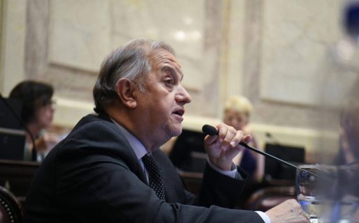 Linares: “Defendimos dos pilares fundamentales para los argentinos”