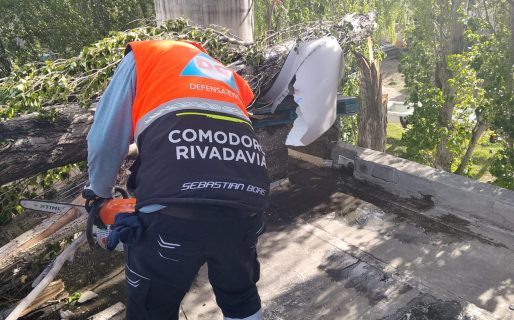 Voladura de chapas y la caída de un árbol: continúan los trabajos de Defensa Civil