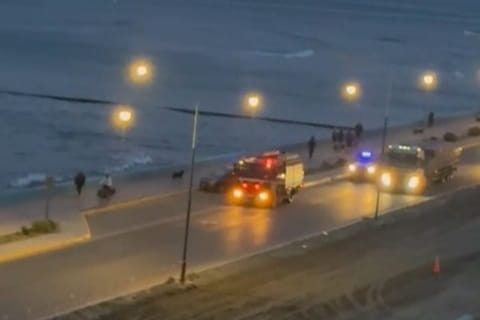 Un perro cayó al mar en el Paseo Costero y fue rápidamente socorrido por Bomberos