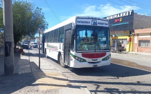 Grave accidente en un colectivo deja a una pasajera lesionada en pleno barrio San Martín