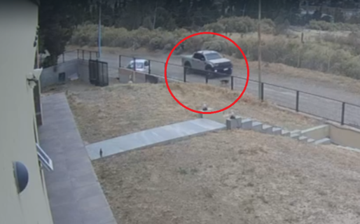 Atropelló a un perro y lo dejó abandonado a metros de un colegio