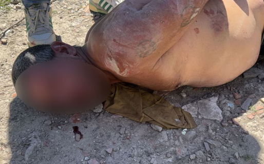 Detuvieron a una mujer y a su pareja por prostituir a sus cinco hijas por comida y droga