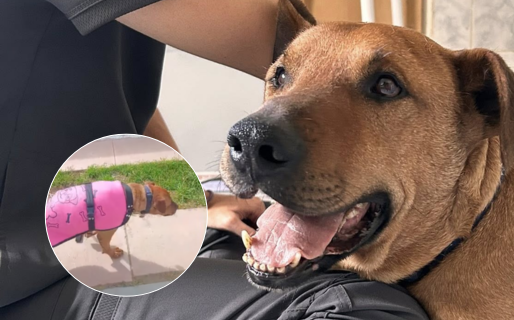 «El Colo» sigue dando pasos y realizan una rifa solidaria para pagar su recuperación