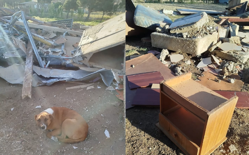 Desalojaron a un hombre en el Cordón Forestal derribando su casa y su perro quedó a la intemperie