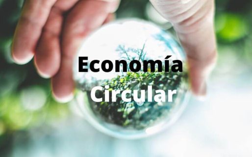 Arriba Chubut impulsa una ordenanza pionera para fomentar la Economía Circular en Rada Tilly