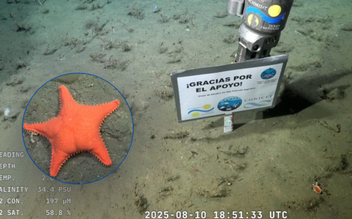 Una expedición científica explorará las profundidades del Mar Argentino en Río Negro y Chubut