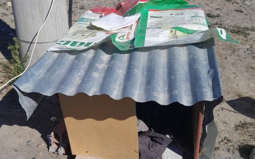 El perro callejero que cuidaba falleció y decidió donar su cucha