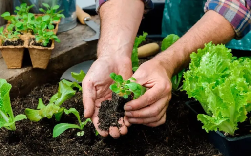 El Centro Barrial PROCAP invita a participar de sus talleres gratuitos de huertas