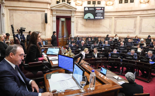 La oposición buscará rechazar en el Senado los vetos al financiamiento universitario y los fondos del Garrahan