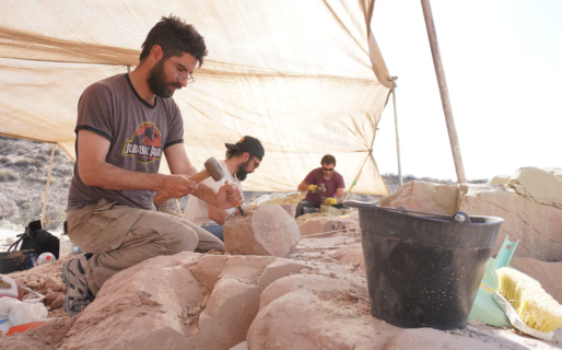 Paleontólogos del Conicet transmitirán en vivo la búsqueda de fósiles de dinosaurios: cuándo es y dónde verlo