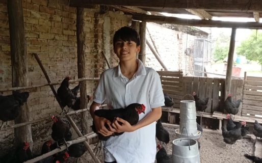 Juancito, el chico de 12 años que cría gallinas y vende huevos para comprarse una caña de pescar