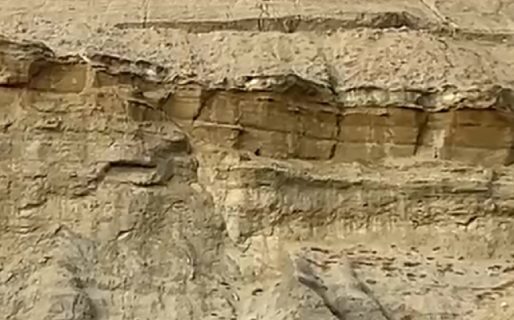 Acto solidario: un perro quedó atrapado en el cerro Chenque y un vecino lo rescató