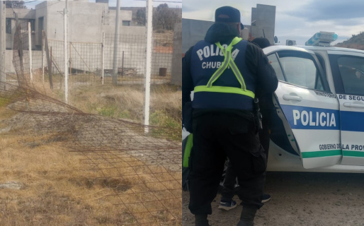 Fue sorprendido robando malla de un terreno y el propietario lo redujo hasta que llegó la policía