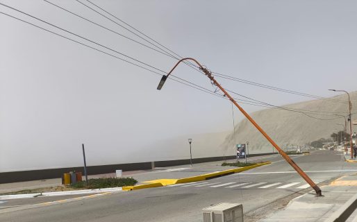 Rada Tilly: postes caídos y árboles derribados en el predio de un colegio por las intensas ráfagas