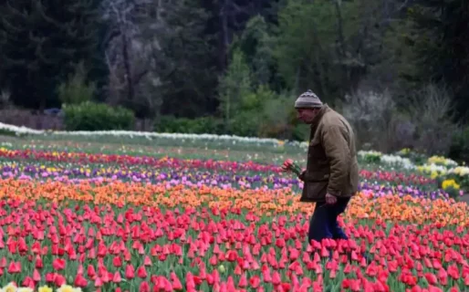 Murió Pedro Smekal el creador del emblemático campo de flores de Bariloche
