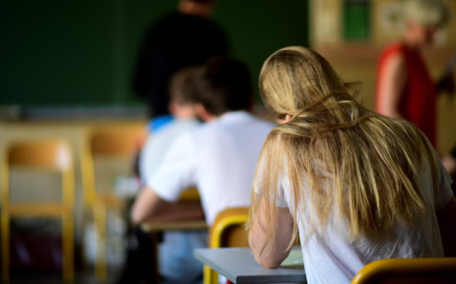 Durante la última década, la inversión destinada a educación cayó en el 80% de las provincias