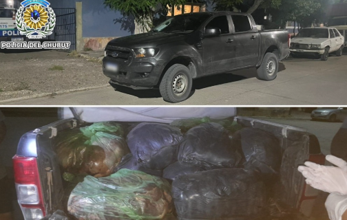 Llevaban 800 kilos de carne de guanaco y fueron sorprendidos en un control policial