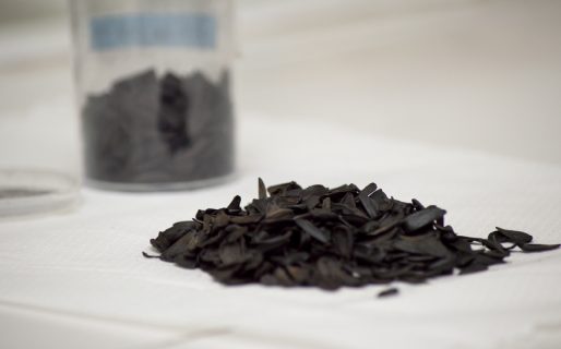 Científicos del CONICET desarrollan un método económico para eliminar arsénico y nitratos del agua