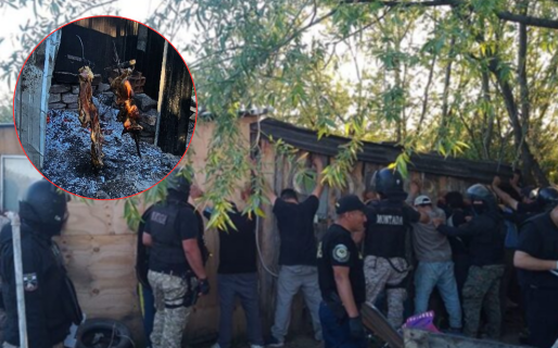 Robaron corderos y la Policía los encontró de asado