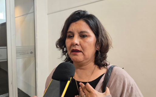 Padres y organizaciones impulsan nuevamente el pedido de “Pirotecnia Cero” en Comodoro