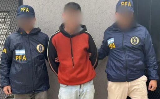 La madre le reclamó que no tenía trabajo y él la apuñaló: lo detuvieron porque volvió a la casa a pedir plata