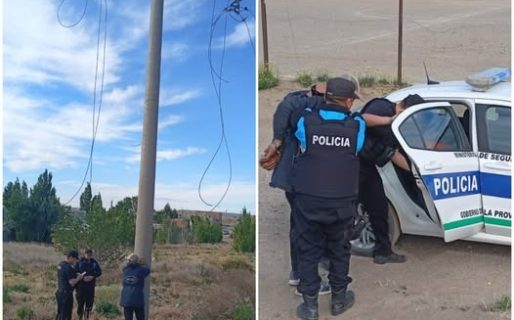 Se trepó a un poste para robar cables de alta tensión y fue detenido