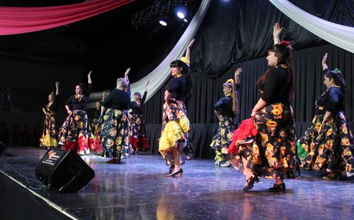 Música de raíz, tradición flamenca y arte urbano en distintos espacios culturales de Comodoro