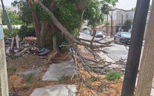 Comodoro declaró la Emergencia Climática por el temporal de viento
