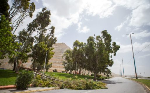 Comodoro Rugby Club lanzó una colecta solidaria para jugadora afectada por el temporal