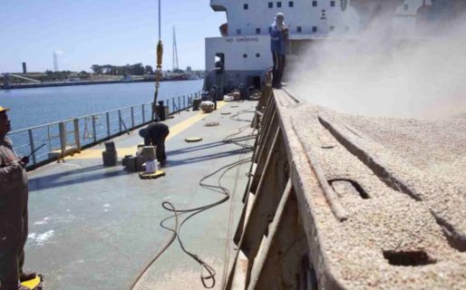 Las exportaciones argentinas sumaron US$2398 millones impulsadas por subas de hasta 357% en productos premium