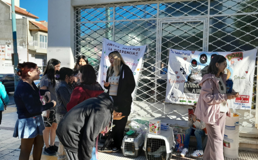 «Ayuda a un Callejero» anuncia nueva jornada de adopciones este sábado