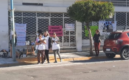 Impulsan una nueva jornada de adopciones en Comodoro y solicitan voluntarios